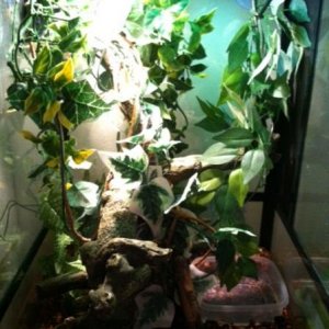 Full view of inside cage.