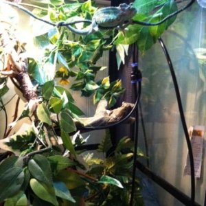 Chevy new set up