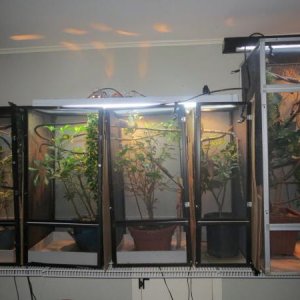 Cham room