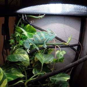 5 months? After second shed