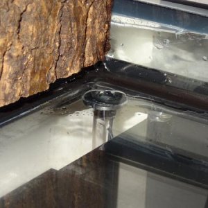 Drain plug