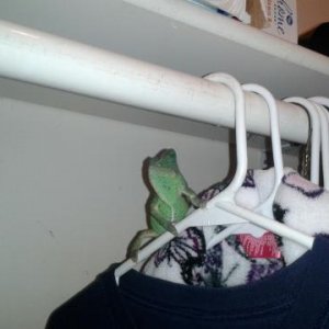 Just hanging out..