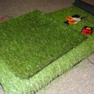 Pet Turf