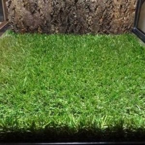 Pet Turf