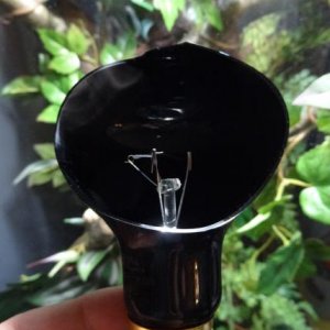 Whoops! Don't let these bulbs get wet.