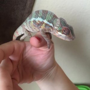 Nanners 5 1/2 months