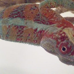 20150121 163124