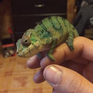 He seems happy!! Lol
