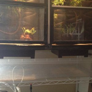 The underneath of their cages, I was able to find a tub that fit exactly 36"x18".  I used two roof vents, inverted them and snapped off the cap portio