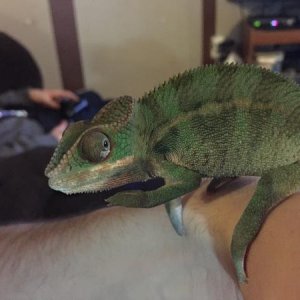 GUS() BEIN A BOSS like usual lol