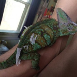 Neil, hanging out on Trenton's arm