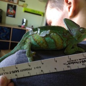 Measuring up