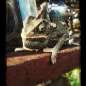 20150316 181653~2