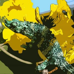 3223.jpg