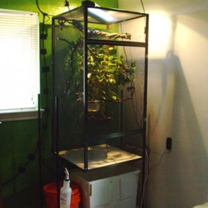 Fry's new adult cage