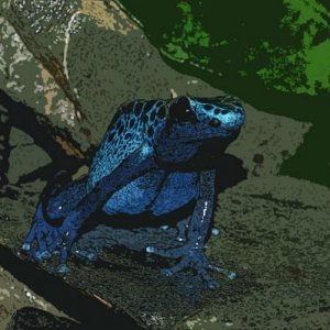 Blue Frog