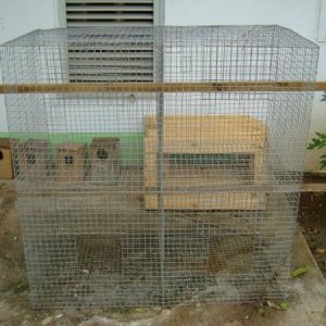 Cage Setup