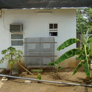 Cage under Shade cloth