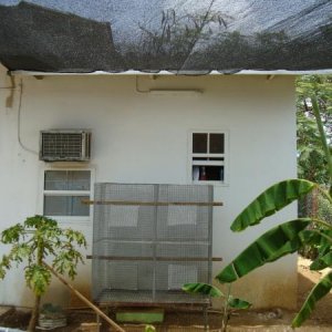 Cage Under Shade cloth