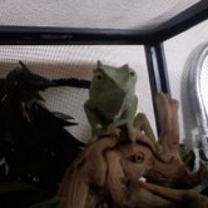 I'm looking at you!