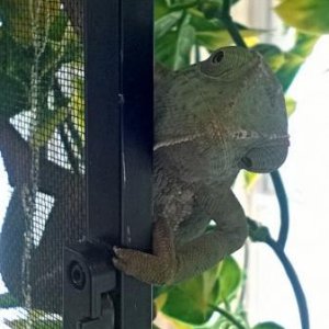 Still a little curious about what is out there...