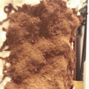 diy tree