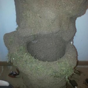 diy tree