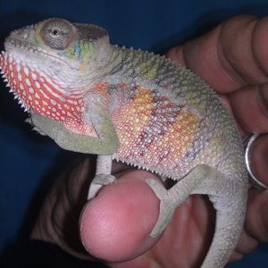Right before he was shipped to me