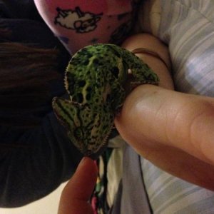 This was right after getting her out, she was a little grumpy.