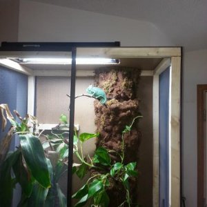 almost planted