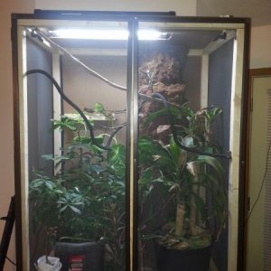 almost planted