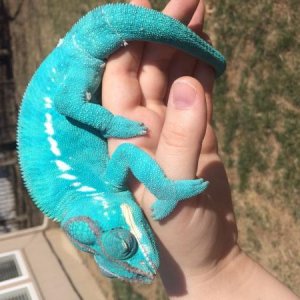 Soaking up the sun