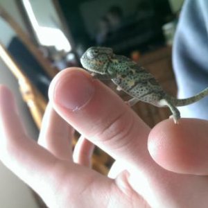 He looks so small in my brothers hands.