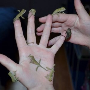 Babies Everywhere!