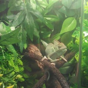 hes a little shy at times