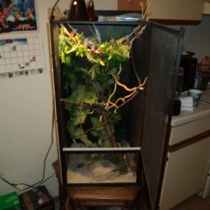 My home . . . basking light up top, along w/ a UV strip light, fogger hose along top.