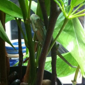 "You can't see me."
