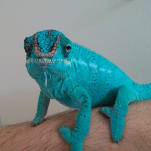 30574.jpg