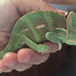 Pascal at 4mos.