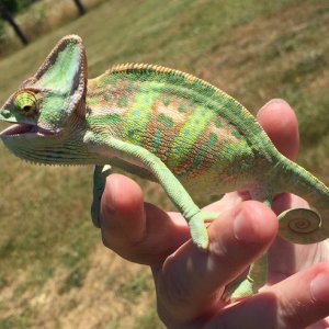 OutsideJune29