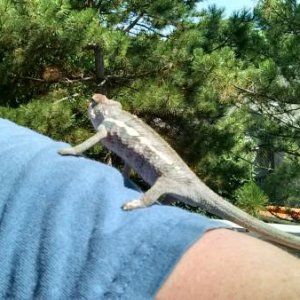 First time outside, on my arm