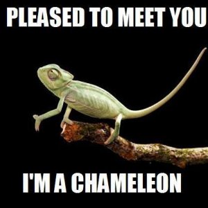 Chameleon