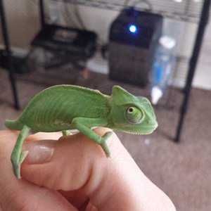 So tiny!