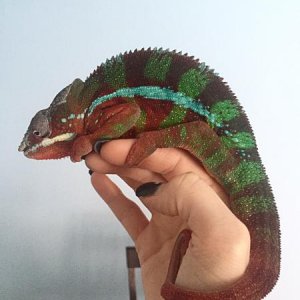 2 years old!