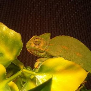 Hanging out