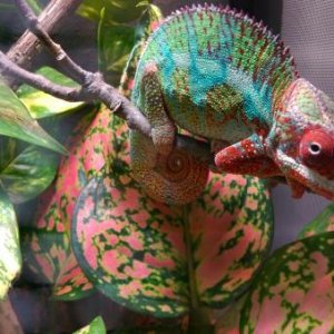 Starting to get some color!