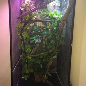 Side on of Hulks cage