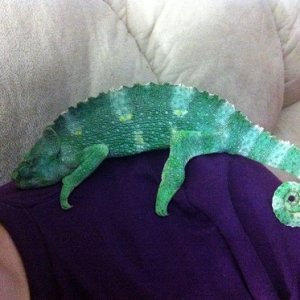 Sleeping on my shoulder <3