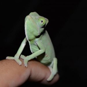 Hello there!