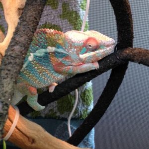 lunch time colors - just turned 6 month old